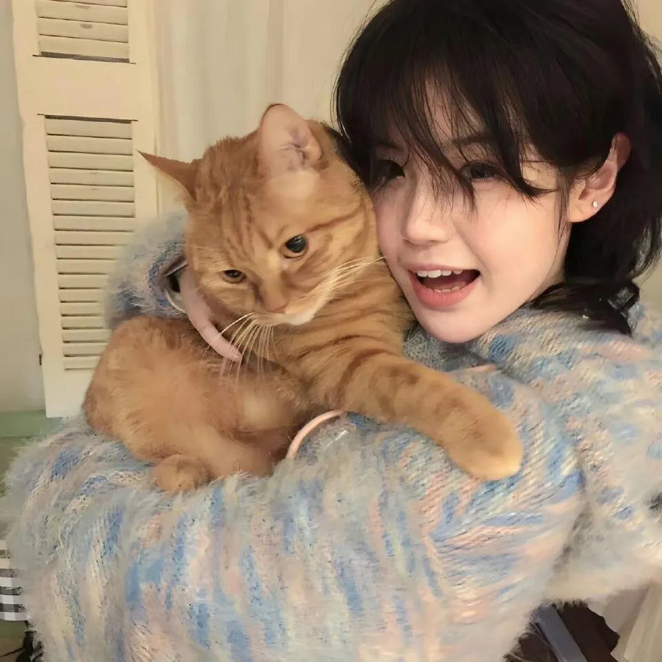 我的小马驹：友谊大魔法第八季 国语版