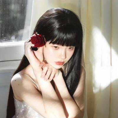 在蓝色时分飞翔